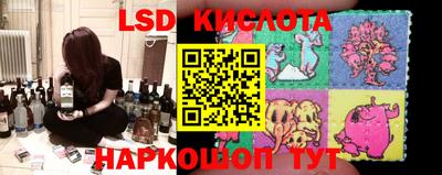 дмт Новокубанск
