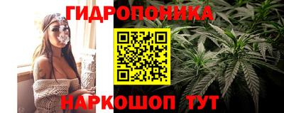 первитин Новодвинск